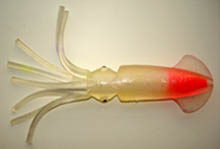 Soft Octopus Lure (Soft Octopus Lure)