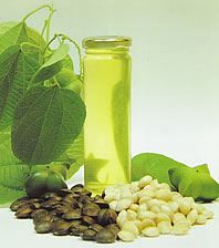 Health Food