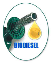  Biodiesel From Brazil (Biodiesel aus Brasilien)