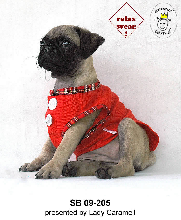  Dog Apparel