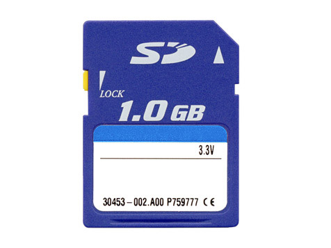  Flash Memory SD Card ( Flash Memory SD Card)