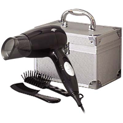  1600W Foldable Hair Dryer (1600W Sèche-cheveux pliable)