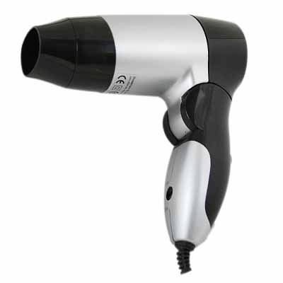  450W Dual Hair Dryer (450W Dual Sèche-cheveux)