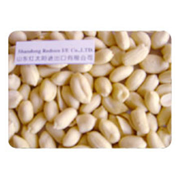  Blanched Peanut (Blanchies d`arachide)