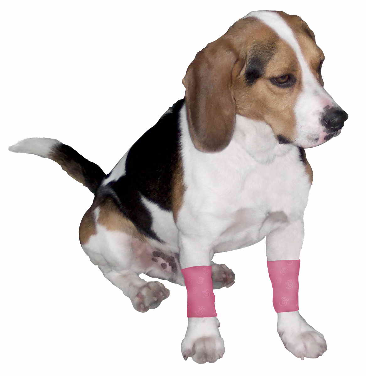  Pet Leg Protector