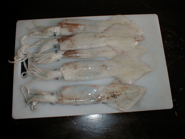  Squid (Кальмары)