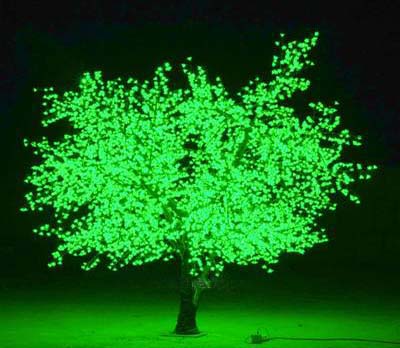  Tree Light (Tr  Light)
