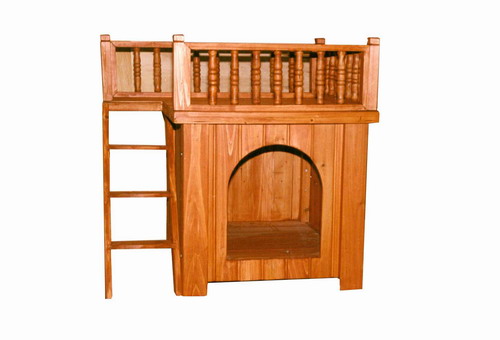  Cat House ( Cat House)