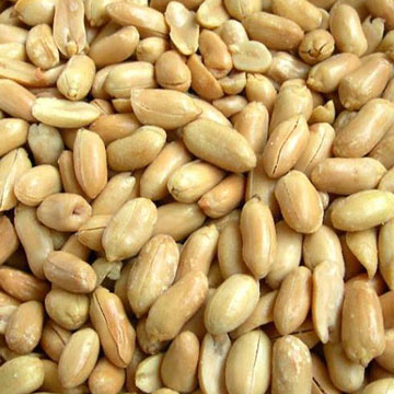  Fried Peanut Kernels (Жареные ядра арахиса)