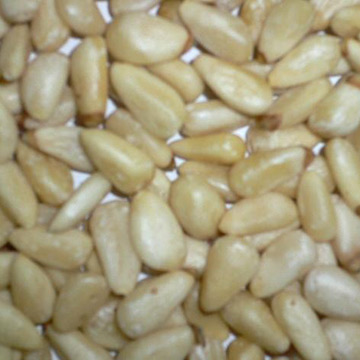  Pine Nut ( Pine Nut)