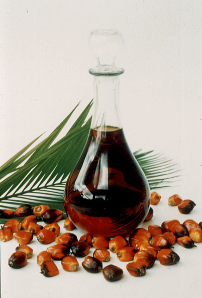 Palm Kernel Fatty Acid (Palm Kernel Fatty Acid)