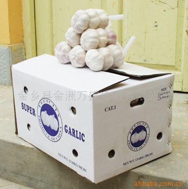  Garlic (Ail)
