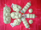  Garlic (Ail)