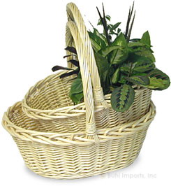  Willow Basket (Osier)