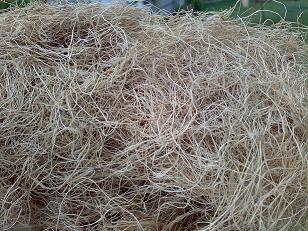  Palm Fibre (Palm Fibre)