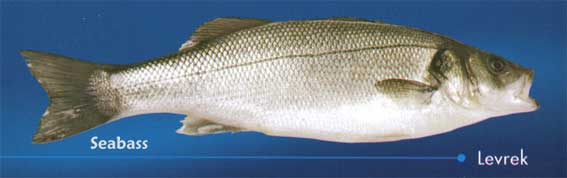  IQF Seabass (IQF Сибас)