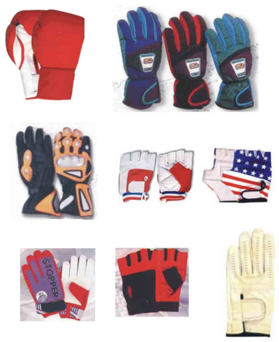  Leather Gloves And Accessories ( Leather Gloves And Accessories)