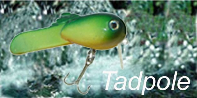  Tadpole (Головастик)