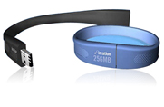  Wrist Band Flash Disk ( Wrist Band Flash Disk)