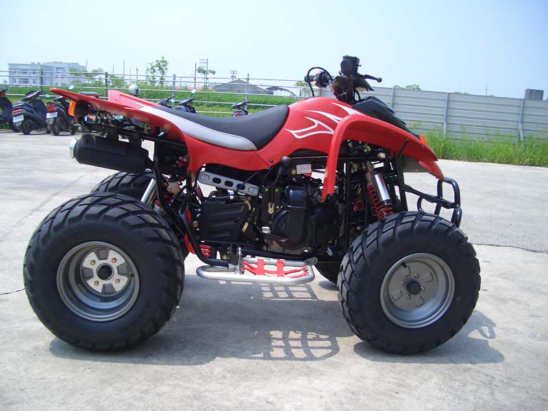 New Force 425 Sports (New Force 425 Sports)