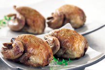  Quail (Перепелиные)