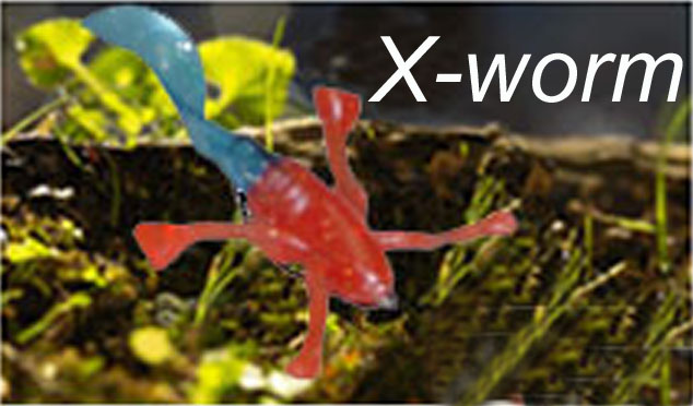  X-Worm (X-Worm)