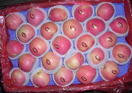  Bagged Qinguan Apple (Beutel Qinguan Apple)