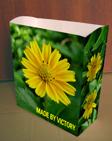  Popcorn Bag With Printing