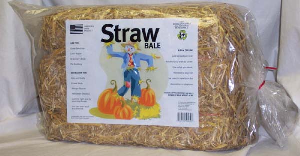  Mini Straw Bale Halloween Decoration (Мини Солома Bale Хэллоуин Украшения)