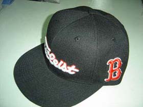  Baseball Caps ( Baseball Caps)