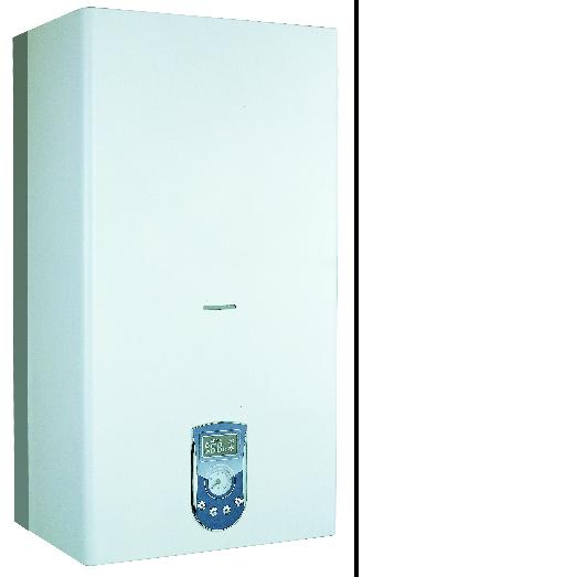  Wall-Hung Gas Boiler (Wand-Gas-Kessel)