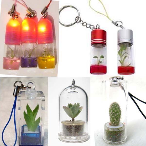  Pet Tree, Pet Plant, Key Chain, Mobile Phone Pendant (Pet дерево, Pet завод, Цепочки для ключей, мобильного телефона кулон)