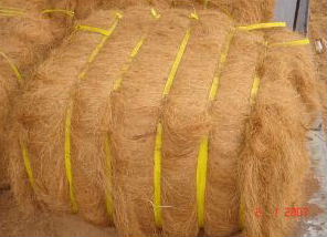  Coconut Coir Fibre (Coconut fibres de coco)