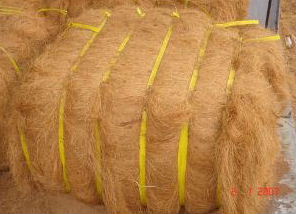  Coconut Coir Fibre (Kokos Kokos Fibre)