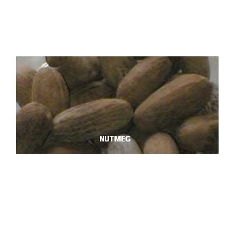  Nutmeg (Noix de muscade)