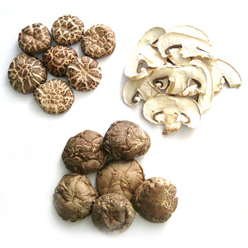  Dried Mushroom / Lentinus Elodes