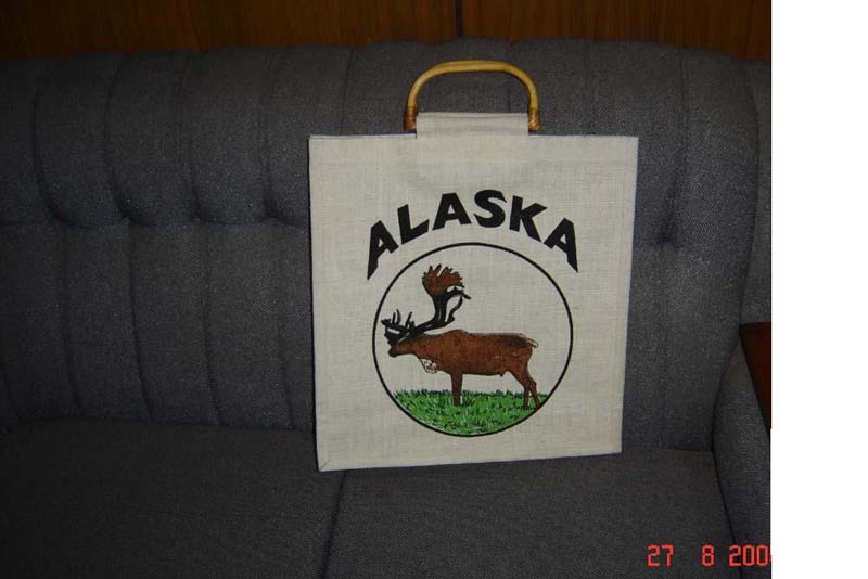 Special Purpose Bags (Специальные сумки)