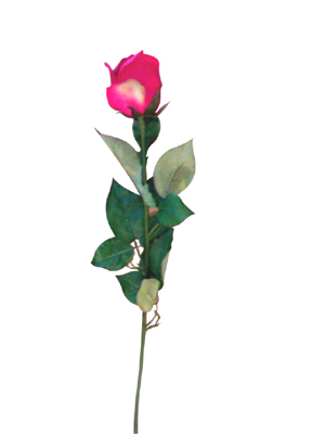  Ch004 Artificial Flower