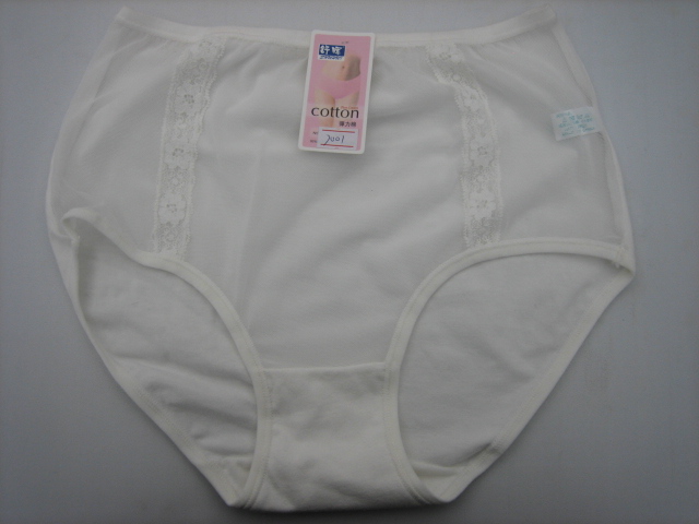  Briefs