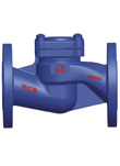  Check Valve (Обратный клапан)
