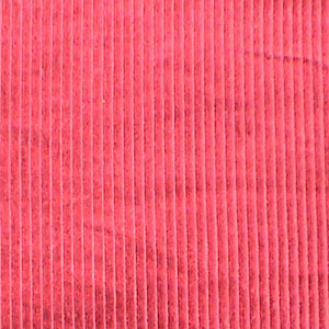  Corduroy (Corduroy)