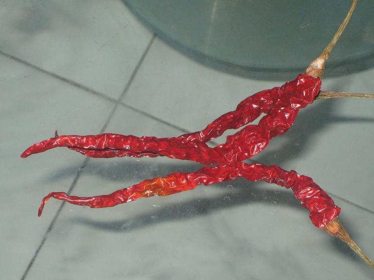 Dry Chilli (Dry Chilli)