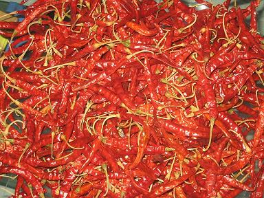 Dry Red Chilli (Dry Red Chilli)