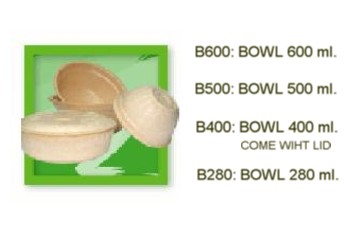  Disposable Bowl And Plate (Disposable bol et Plate)