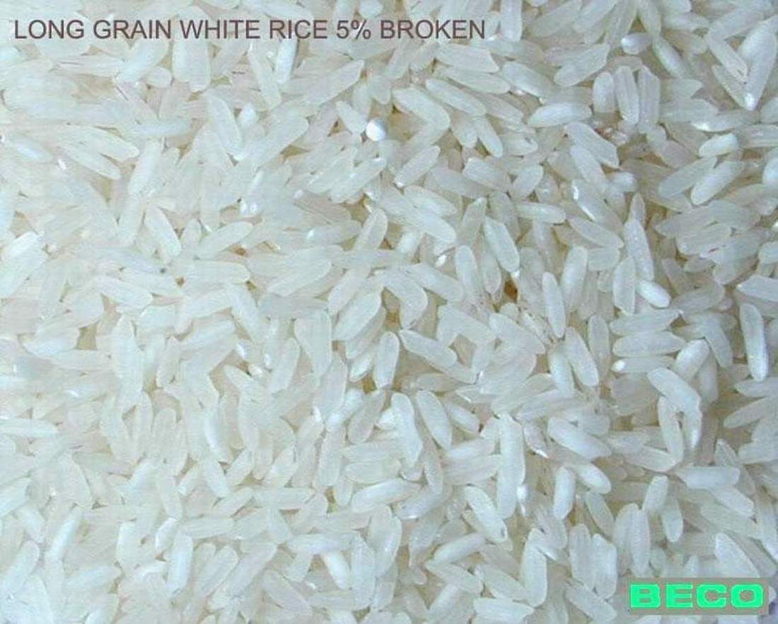  Rice (Rice)