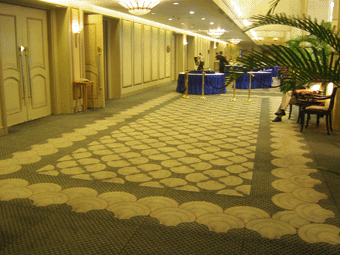  Pure Wool Carpet ( Pure Wool Carpet)