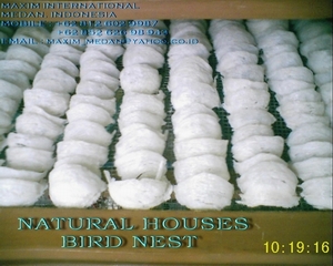  White Natural Bird Nest (Белый природного Птичье гнездо ")
