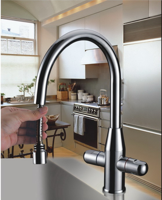  Kitchen Faucet (Robinet de cuisine)