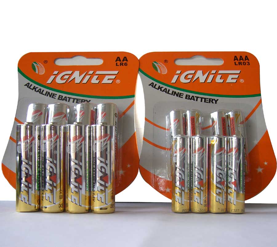  Alkaline Battery