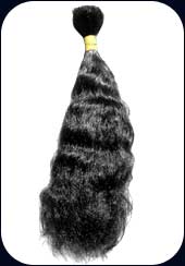  Human Hairs (Menschliche Haare)